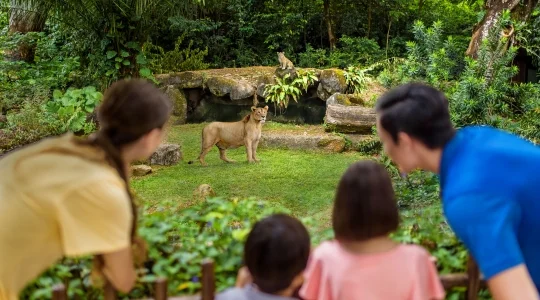 シンガポール動物園